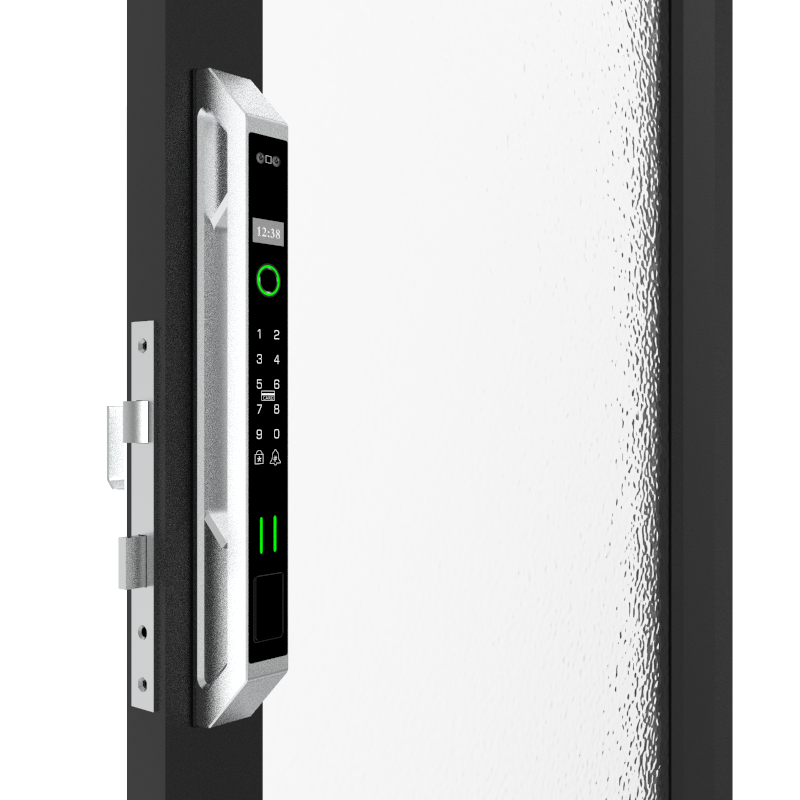 Face Recognition Aluminum Door Lock