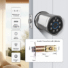 Handle Smart Locks