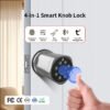 Handle Smart Locks