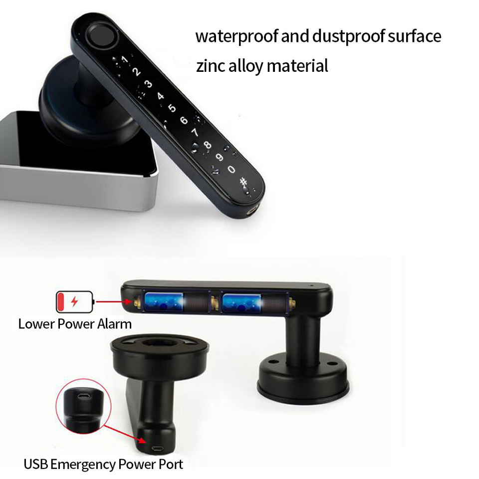 Smart Handle Door