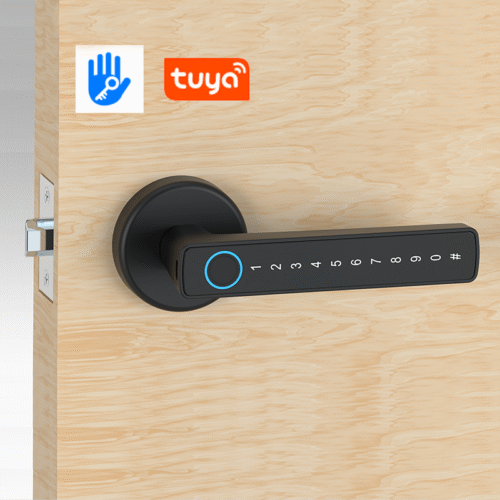 Smart Handle Door