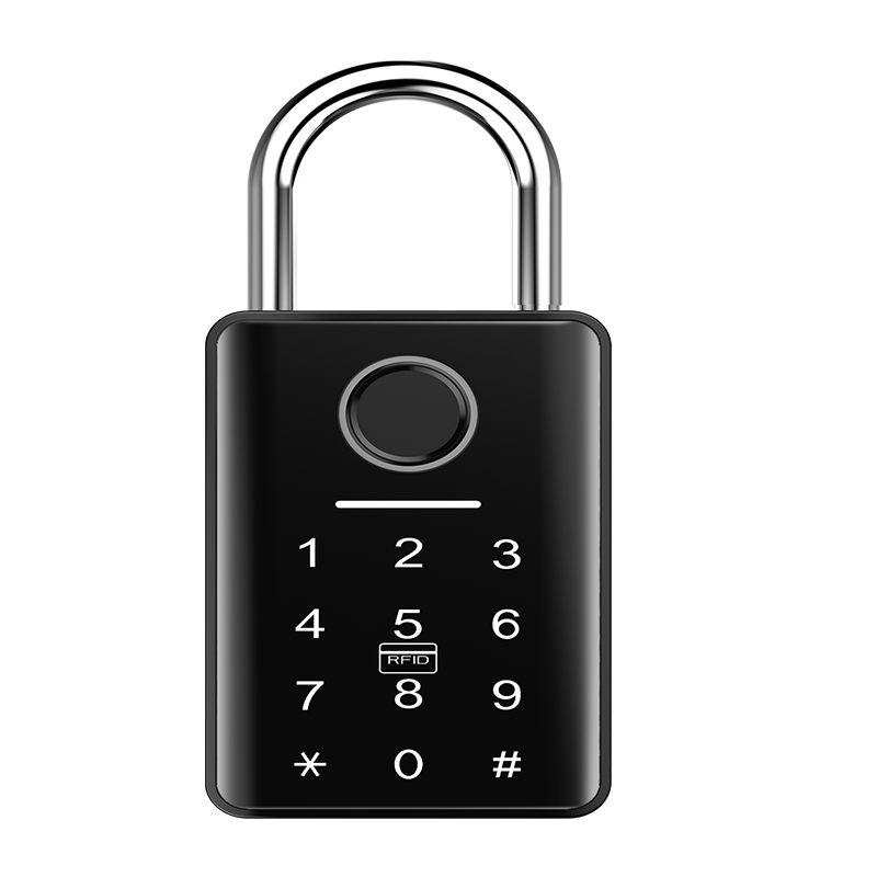 Large fingerprint padlock